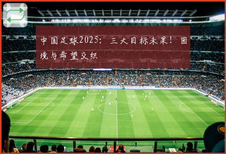 中国足球2025：三大目标未果！困境与希望交织