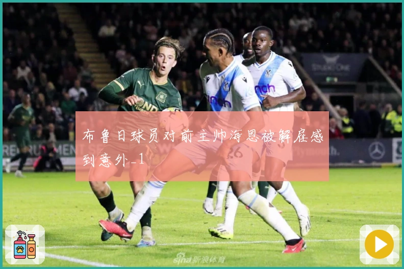 布鲁日球员对前主帅海恩被解雇感到意外_1