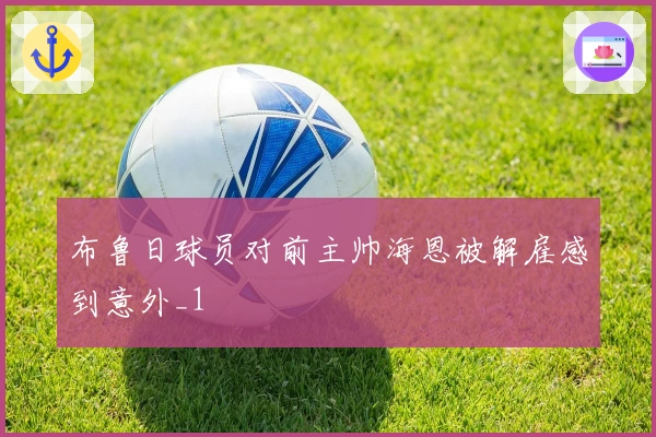 布鲁日球员对前主帅海恩被解雇感到意外_1