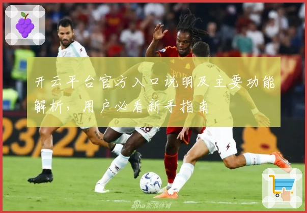 开云平台官方入口说明及主要功能解析,用户必看新手指南